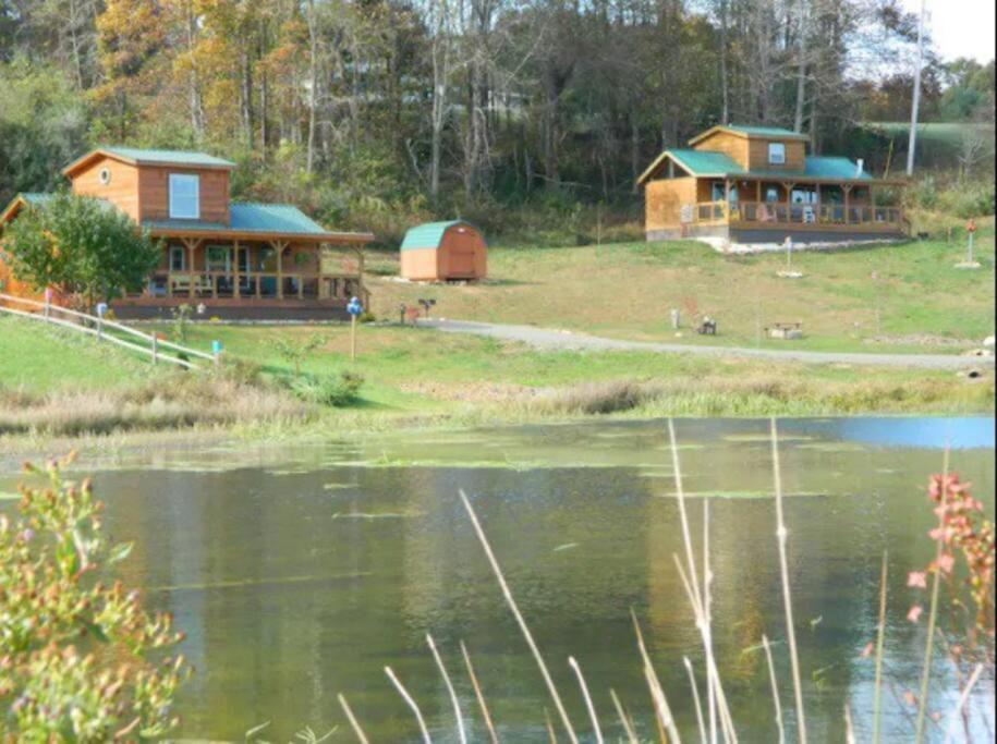 It'S Five O'Clock Here - Cozy Waterfront Cabin With A Hot Tub On The Blue Ridge Parkway! Pet Friendly Fancy Gap Exterior photo